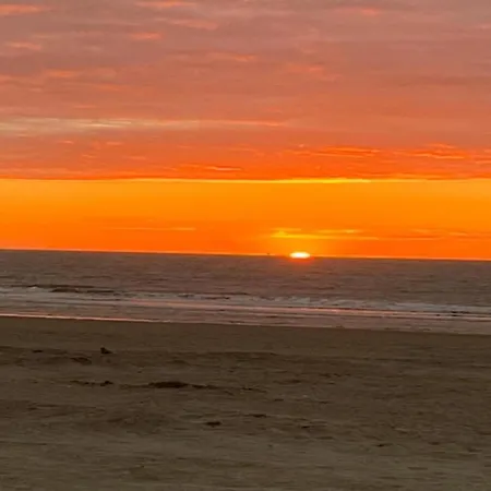 Beautiful In A Location Near * Ostende